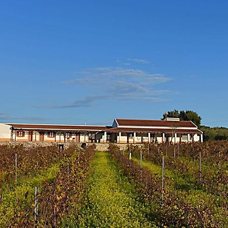 Turismo Rural Pedremoura Hostal Vila Ruiva  Exterior foto